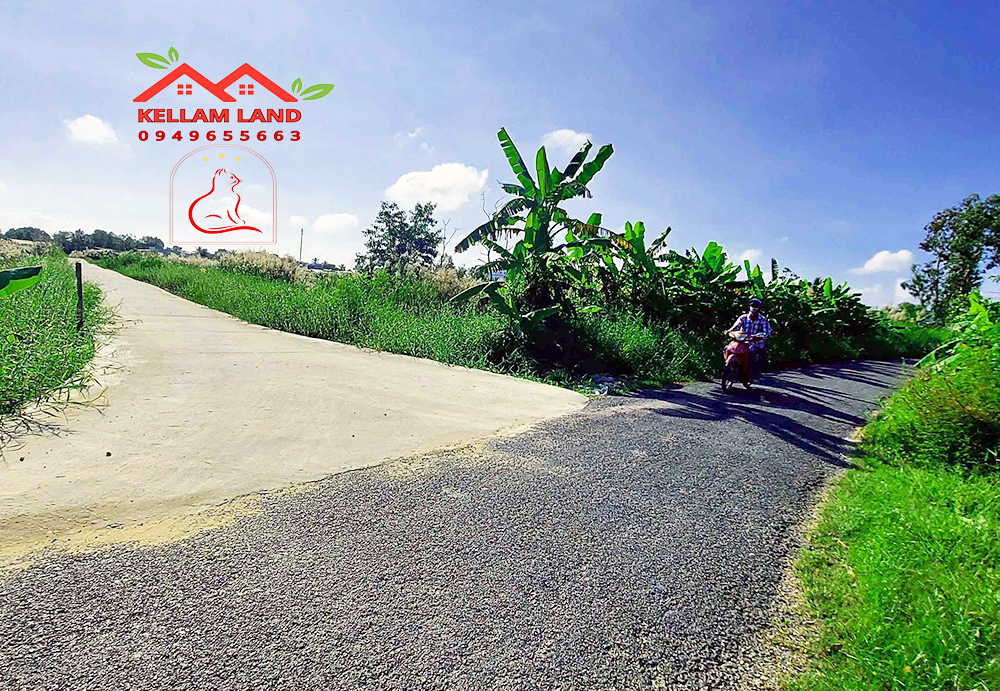 Cần tiền để làm ăn nên bán rẻ bán gấp lô đất nền 2112 m2 đất vườn